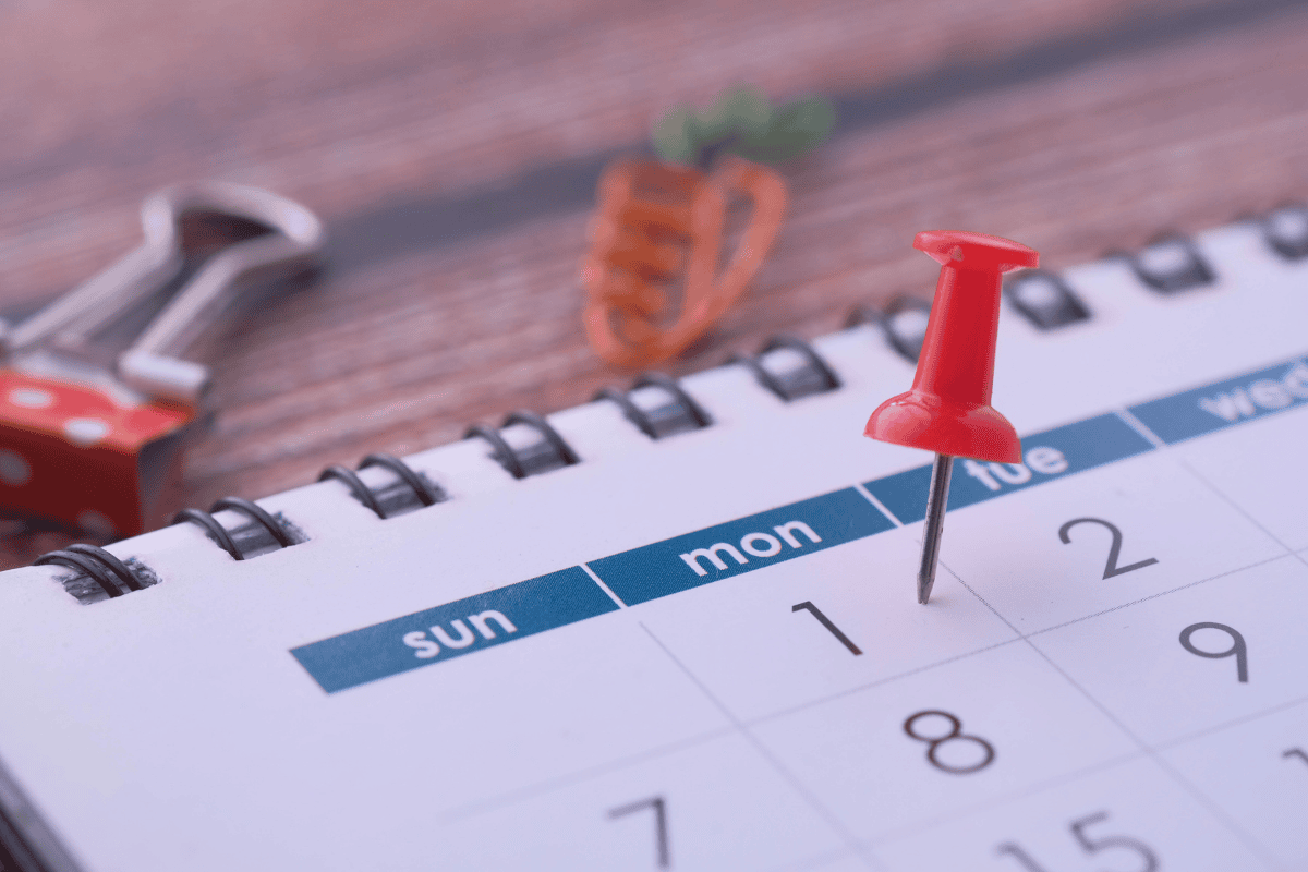 A step-by-step guide to your SEF appointment