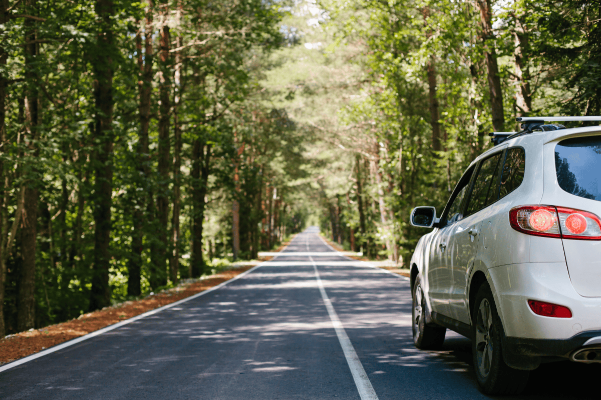 Portugal-bound: taking your car overseas